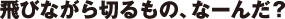 飛びながら切るもの、なーんだ？